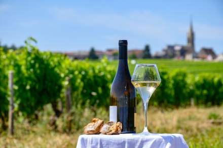 Atelier dégustation "Tour de France insolite " le vendredi 19 septembre