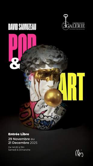 EXPOSITION « POP&amp;ART » par David Samuzeau 