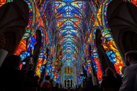 Luminiscence arrive à Orléans à partir du 25 septembre