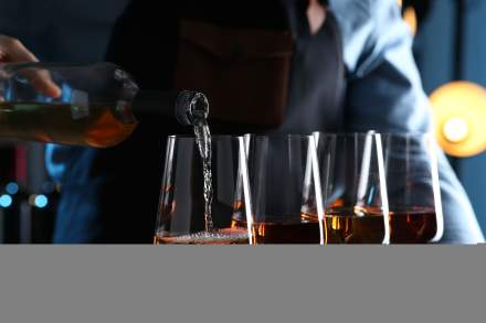 Ateliers dégustation rentrée 2024